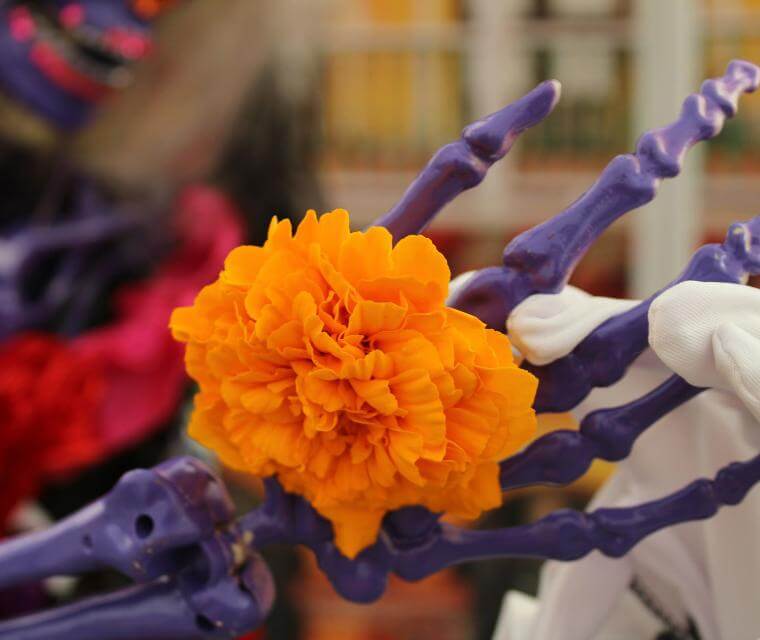 new homes in League City, Texas