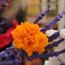 new homes in League City, Texas