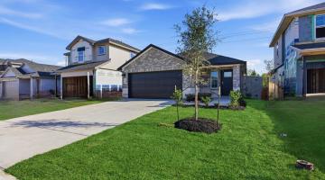 3509 Wild Mustang Street
